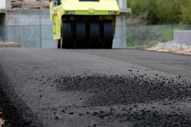 Best Professional Driveway Pavers  in University, FL